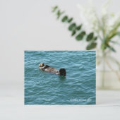 Carte Postale Dormir sur la Loue de mer (Debout devant)