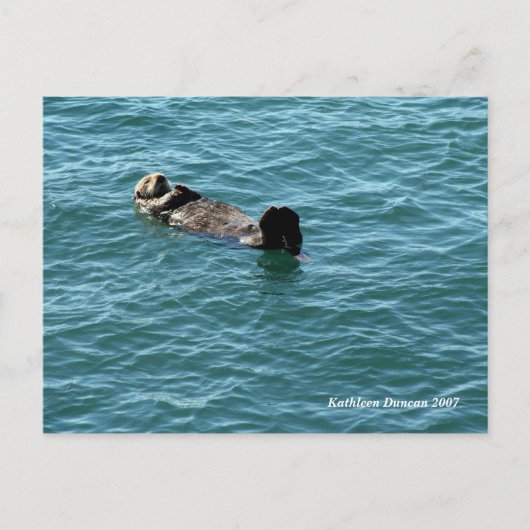 Carte Postale Dormir sur la Loue de mer (Devant)
