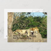 Carte Postale Dors jusqu'à ce que tu aies faim, mange jusqu'à ce (Devant / Derrière)