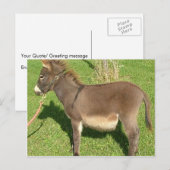 Carte Postale Dos Avec La Ceinture Dans Le Cou (Devant / Derrière)