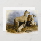 Carte Postale Dos de couleur vive ou de couleur vive (Devant / Derrière)