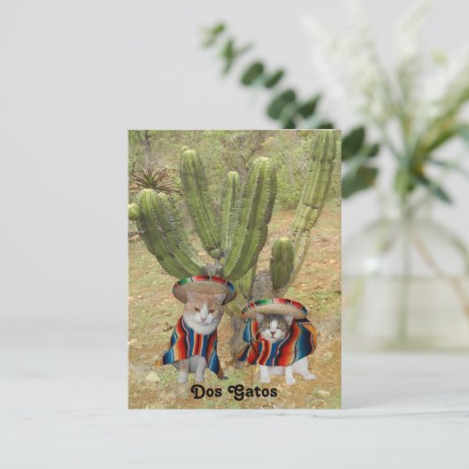 Carte Postale Dos Gatos (Debout devant)