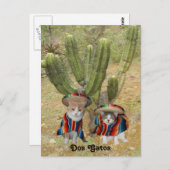 Carte Postale Dos Gatos (Devant / Derrière)