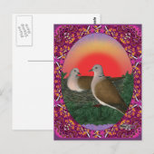 Carte Postale Doses encadrées (Devant / Derrière)