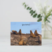 Carte postale d'otarie (Debout devant)