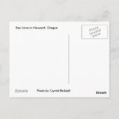 Carte postale d'otarie (Dos)