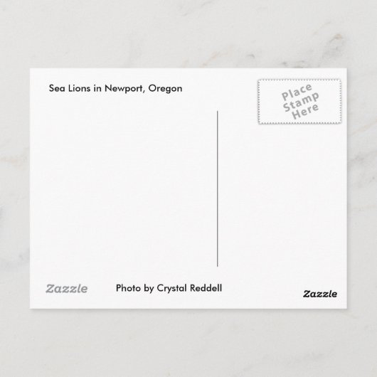 Carte postale d'otarie (Dos)