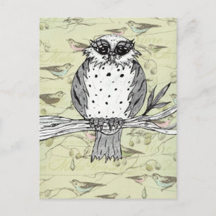 Carte postale Dotti the Owl 33