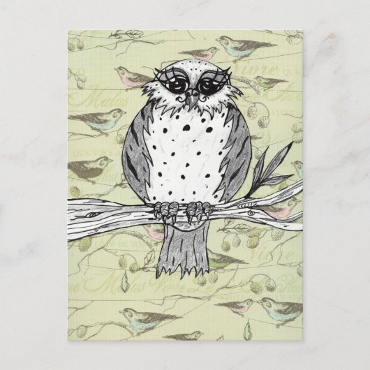 Carte postale Dotti the Owl 33 (Devant)