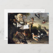 Carte Postale D'où viennent les chants d'oiseaux (Devant / Derrière)