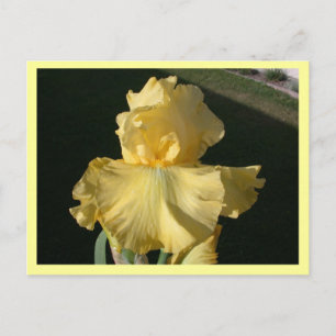 Carte Postale Double agent