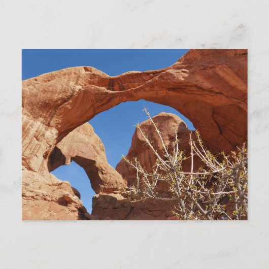 Carte Postale Double Arche à Arches National Park (Devant)