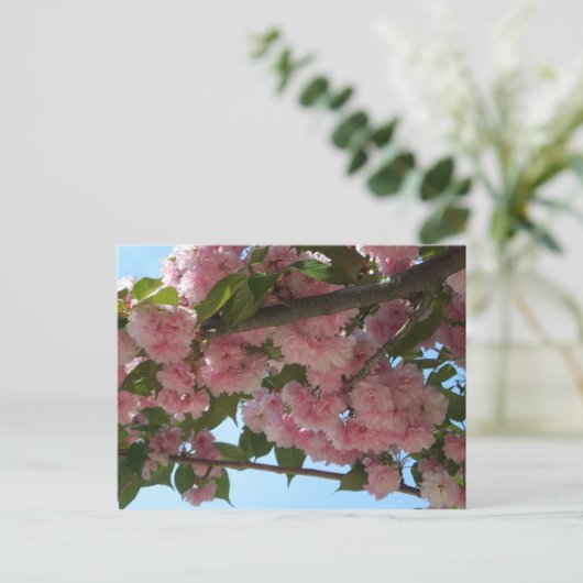 Carte Postale Double Blossoming Cherry (Debout devant)