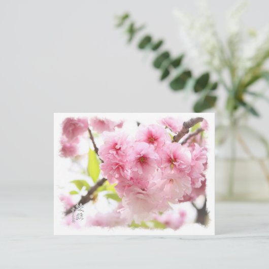 Carte Postale Double Cherry Blossom: Ayanishiki ポストカード (Debout devant)