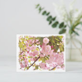 Carte Postale Double Cherry Blossom: Imose (Debout devant)