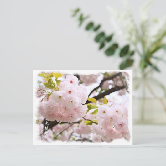 Carte Postale Double Cherry Blossom: Oh-jochin ポストカード (Debout devant)