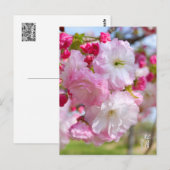 Carte Postale Double Cherry Blossom: Shogetsu (Devant / Derrière)