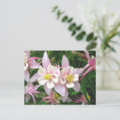 Carte Postale Double colonne (Debout devant)