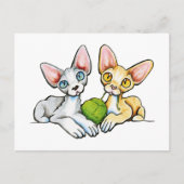 Carte Postale Double Devons (Devant)
