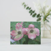 Carte Postale Double Dogwood (Debout devant)