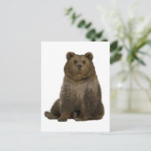 Carte postale Double Exposition Arbres Ours Brun (Debout devant)