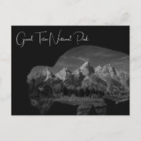 Double exposition du bison de Grand Teton