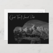 Carte Postale Double exposition du bison de Grand Teton (Devant / Derrière)