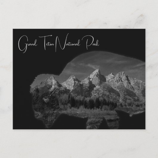 Carte Postale Double exposition du bison de Grand Teton (Devant)