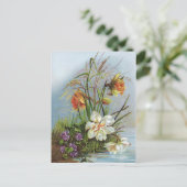 Carte Postale Double Narcisse blanc et or par un étang (Debout devant)