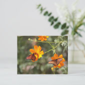 Carte Postale Double Papillon (Debout devant)