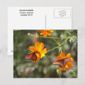 Carte Postale Double Papillon (Devant / Derrière)
