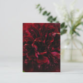 Carte postale Double Peony Tulip (Debout devant)