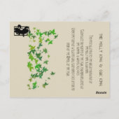 Carte Postale Double Portrait of the Oak King and Holly King (Dos)