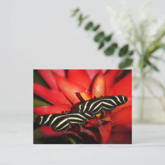 Carte Postale Double problème (Debout devant)