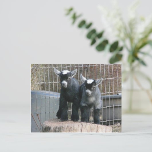 Carte Postale Double problème (Debout devant)