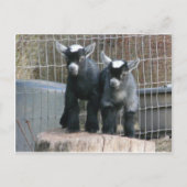 Carte Postale Double problème (Devant)