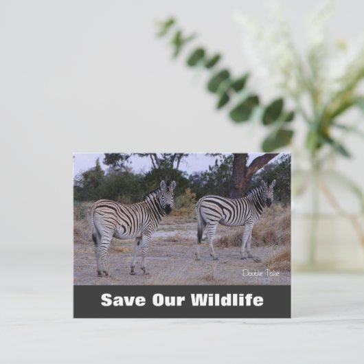 Carte Postale Double Take, Save Our Wildlife Postcard (Debout devant)
