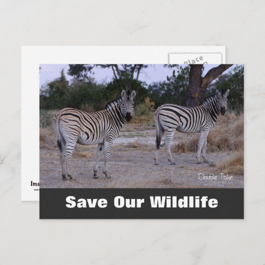 Carte Postale Double Take, Save Our Wildlife Postcard (Devant / Derrière)