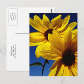 Carte postale Double tournesol (Devant / Derrière)