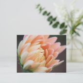 Carte postale douce (Debout devant)