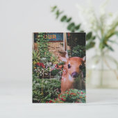 Carte Postale Douce Faon dans le Collage de Jardin (Debout devant)