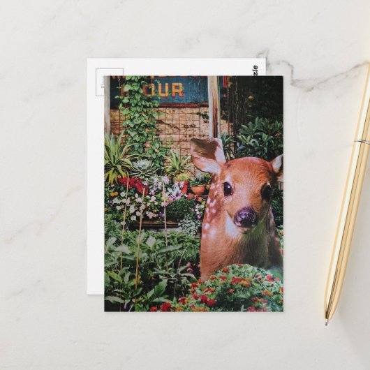 Carte Postale Douce Faon dans le Collage de Jardin (Devant/Arrière en situation)