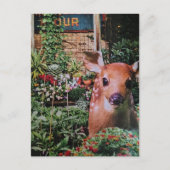 Carte Postale Douce Faon dans le Collage de Jardin (Devant)