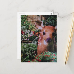 Carte Postale Douce Faon Mignon dans le Jardin Collage