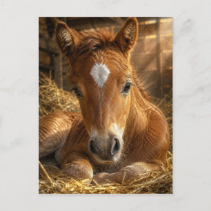 Carte Postale Douce Pâmoison dorée