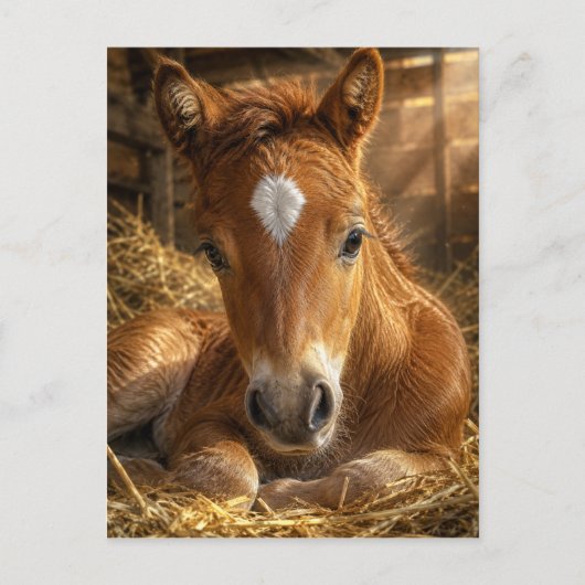 Carte Postale Douce Pâmoison dorée (Devant)