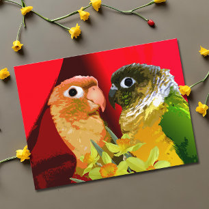 Carte Postale Douce Perruche à joue verte Conure en amour Perroq