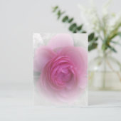 Carte Postale Doucement rose (Debout devant)