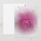 Carte Postale Doucement rose (Devant / Derrière)