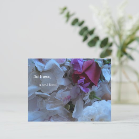 Carte Postale Douceur, une âme, (Debout devant)